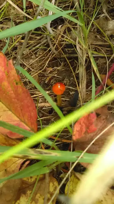 BHG Brainerd Treatment Center